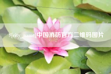 青州中国消防官方二维码图片