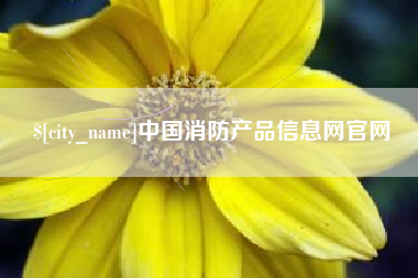 青州中国消防产品信息网官网