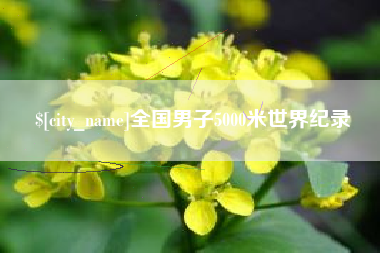 青州全国男子5000米世界纪录
