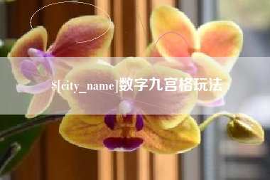 青州数字九宫格玩法