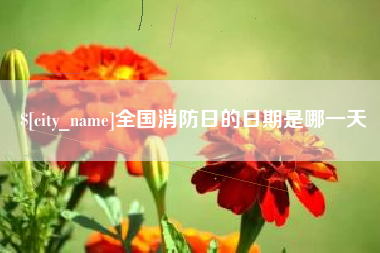 青州全国消防日的日期是哪一天