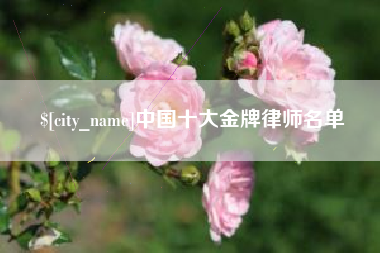 青州中国十大金牌律师名单