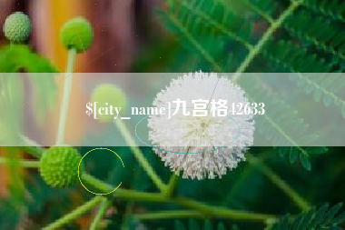 青州九宫格42633
