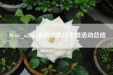 青州全国消防日主题活动总结