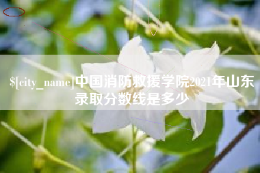 青州中国消防救援学院2021年山东录取分数线是多少
