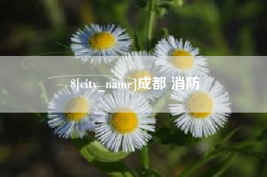 青州成都 消防