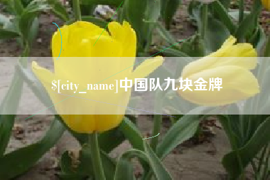 青州中国队九块金牌