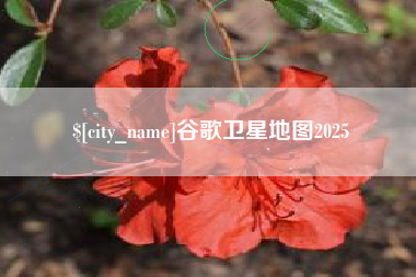 青州谷歌卫星地图2025