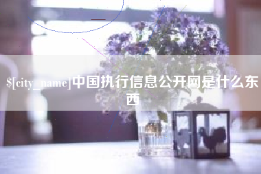 青州中国执行信息公开网是什么东西