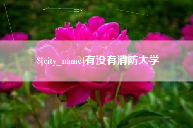 青州有没有消防大学