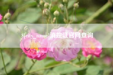 青州消控证官网查询