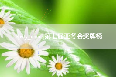 青州第七届亚冬会奖牌榜