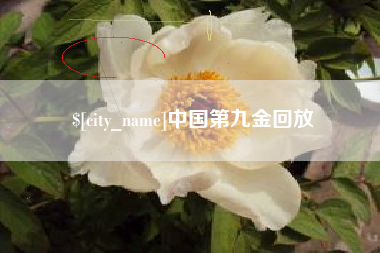青州中国第九金回放