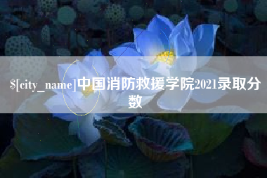 青州中国消防救援学院2021录取分数