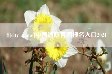 青州中国消防官网报名入口2024