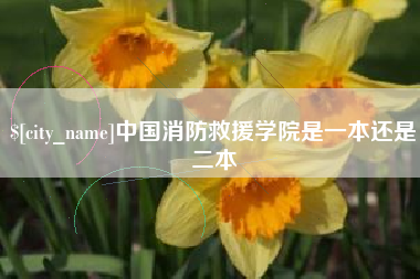 青州中国消防救援学院是一本还是二本