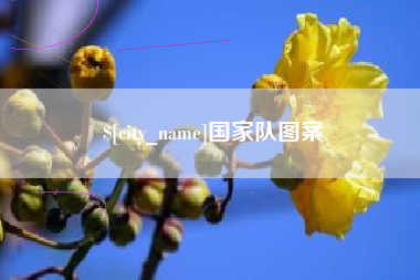 青州国家队图案