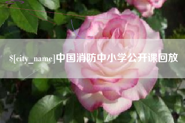 青州中国消防中小学公开课回放
