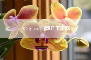 青州邱县王子磊