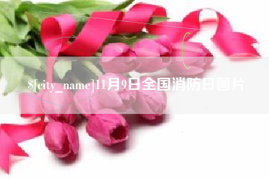 青州11月9日全国消防日图片