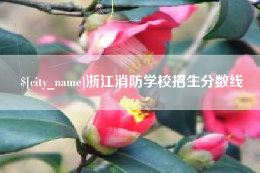 青州浙江消防学校招生分数线