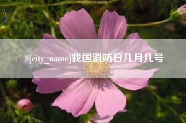 青州我国消防日几月几号