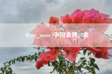 青州中国金牌18金