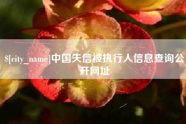 青州中国失信被执行人信息查询公开网址