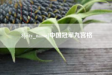 青州中国冠军九宫格