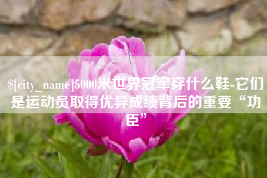 青州5000米世界冠军穿什么鞋-它们是运动员取得优异成绩背后的重要“功臣”
