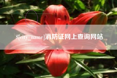 青州消防证网上查询网站