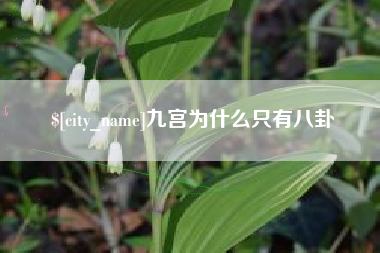 青州九宫为什么只有八卦