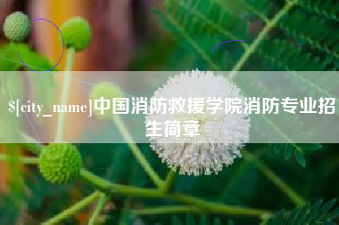 青州中国消防救援学院消防专业招生简章