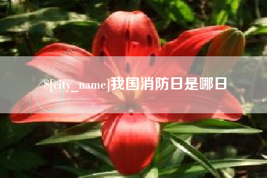 青州我国消防日是哪日
