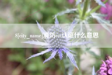 青州消防ccc认证什么意思