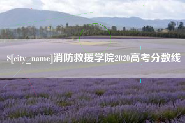 青州消防救援学院2020高考分数线