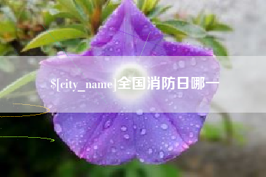 青州全国消防日哪一