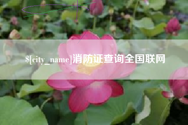 青州消防证查询全国联网
