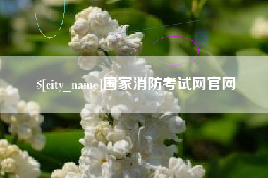 青州国家消防考试网官网