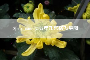 青州2022年九宫格飞星图