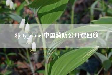 青州中国消防公开课回放