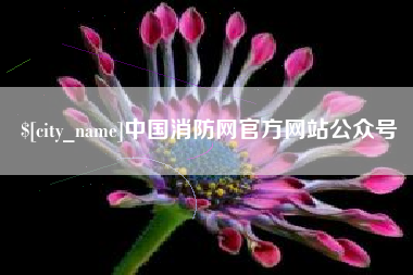 青州中国消防网官方网站公众号