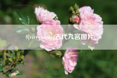 青州古代九宫图片