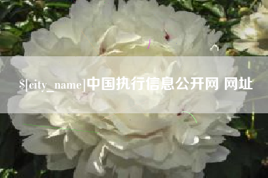 青州中国执行信息公开网 网址