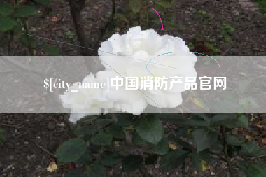 青州中国消防产品官网