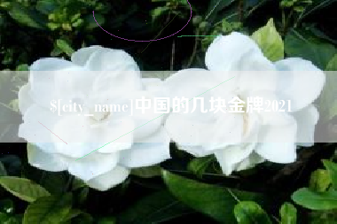 青州中国的几块金牌2021