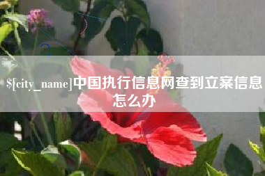 青州中国执行信息网查到立案信息怎么办