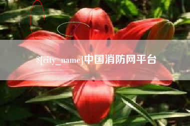 青州中国消防网平台
