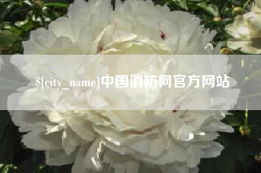 青州中国消防网官方网站