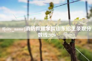 青州消防救援学院山东招生录取分数线2020